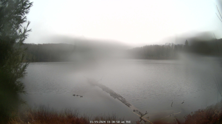 Image from 2024-11-19