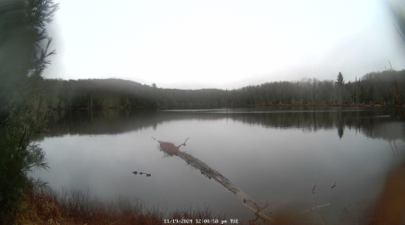 Image from 2024-11-19