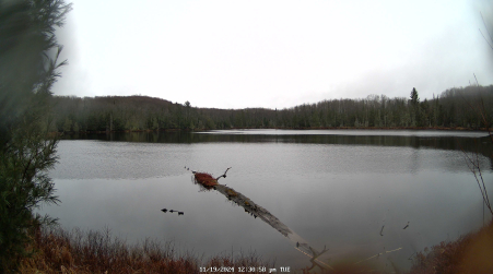 Image from 2024-11-19