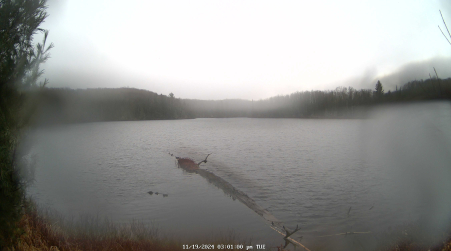 Image from 2024-11-19
