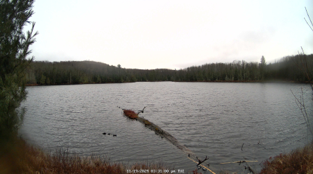 Image from 2024-11-19