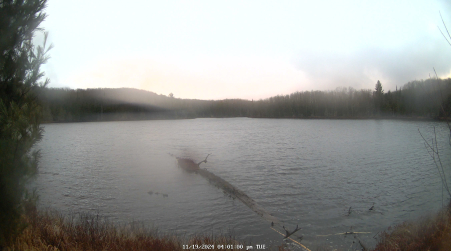 Image from 2024-11-19