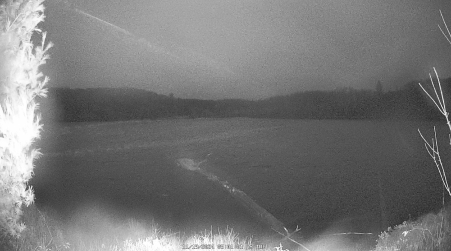 Image from 2024-11-19