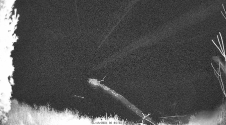 Image from 2024-11-19