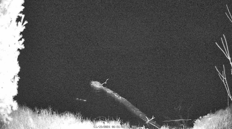 Image from 2024-11-19