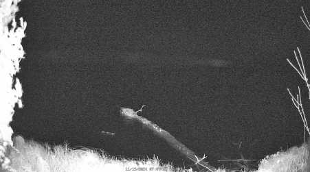 Image from 2024-11-19