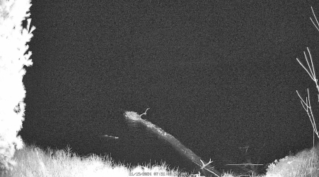 Image from 2024-11-19