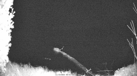 Image from 2024-11-19