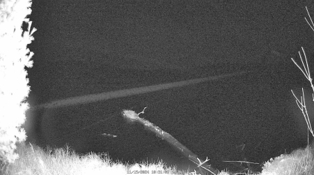 Image from 2024-11-19