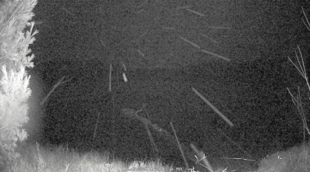Image from 2024-11-19