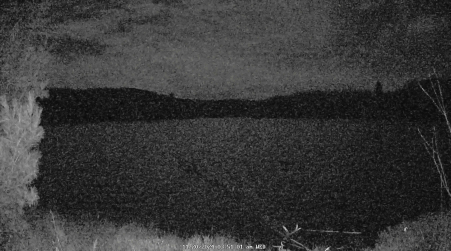 Image from 2024-11-20