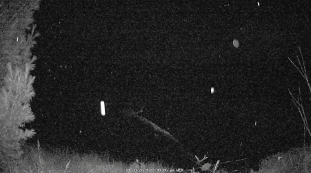 Image from 2024-11-20