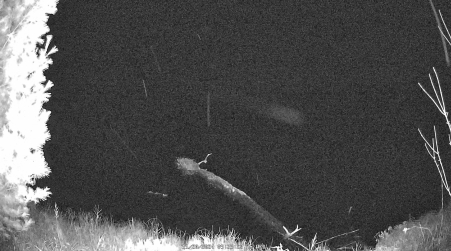 Image from 2024-11-20