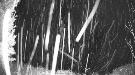 Image from 2024-11-21