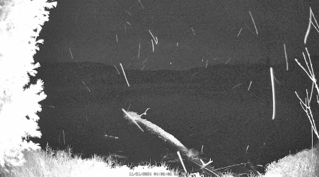 Image from 2024-11-21