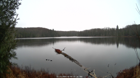 Image from 2024-11-21
