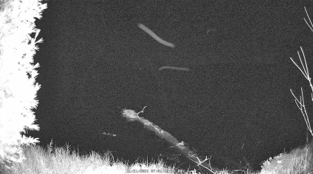 Image from 2024-11-21