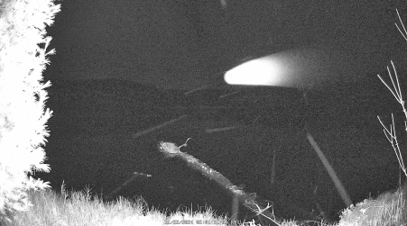 Image from 2024-11-22