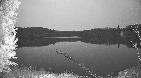 Image from 2024-11-22
