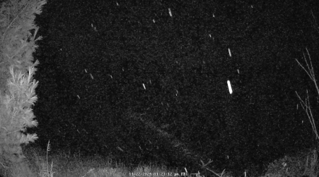 Image from 2024-11-22