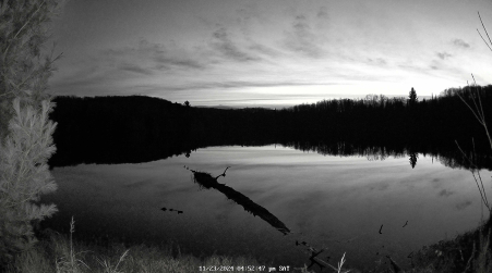 Image from 2024-11-23