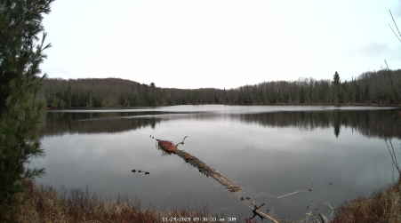 Image from 2024-11-24