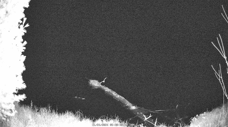 Image from 2024-11-24