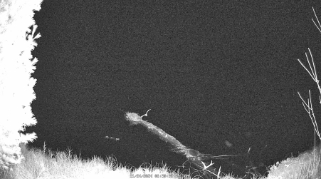 Image from 2024-11-24