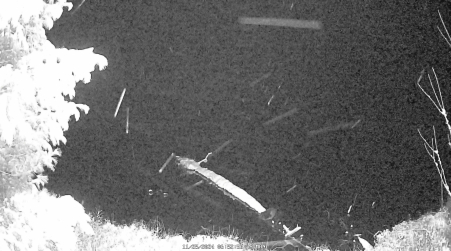 Image from 2024-11-25