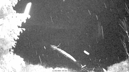 Image from 2024-11-25