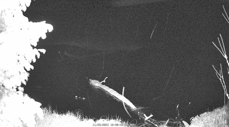 Image from 2024-11-25