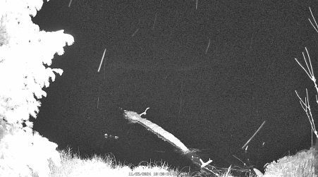Image from 2024-11-25