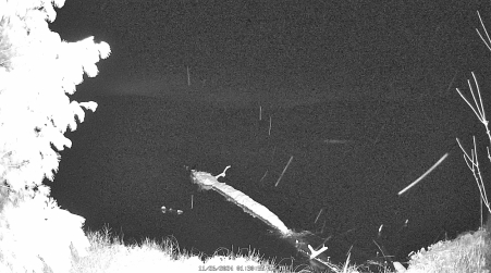 Image from 2024-11-26