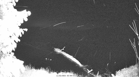 Image from 2024-11-26