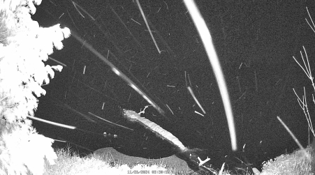 Image from 2024-11-26