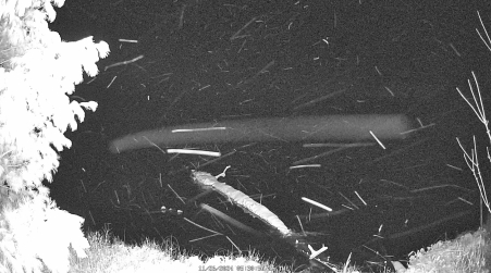 Image from 2024-11-26