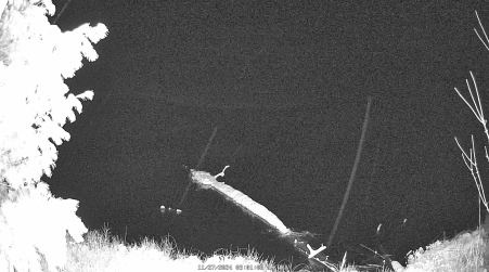 Image from 2024-11-27