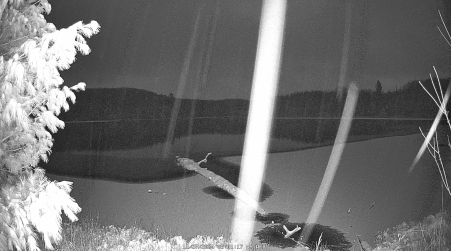 Image from 2024-11-27
