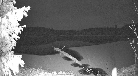 Image from 2024-11-27