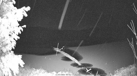 Image from 2024-11-27