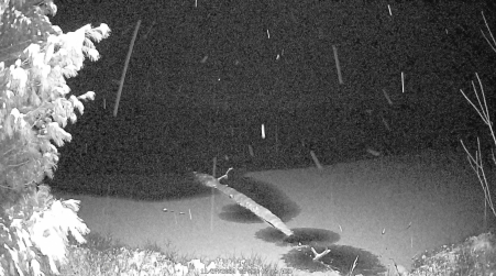 Image from 2024-11-27