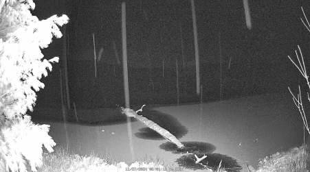 Image from 2024-11-27
