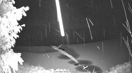 Image from 2024-11-27