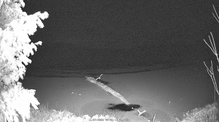 Image from 2024-11-27