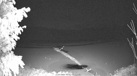 Image from 2024-11-27
