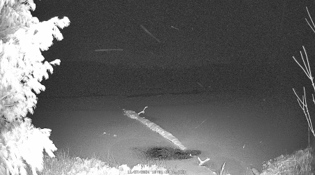 Image from 2024-11-27