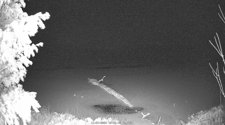 Image from 2024-11-27