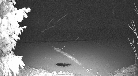 Image from 2024-11-28