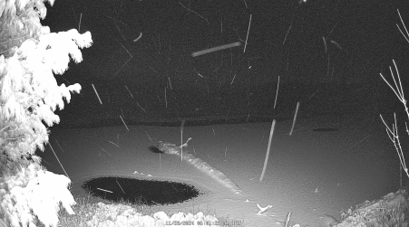 Image from 2024-11-28