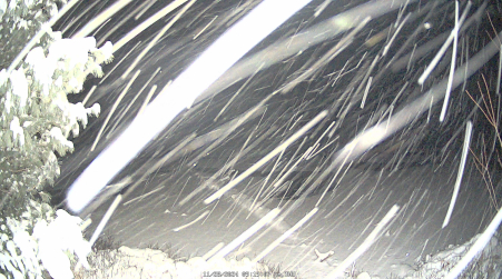 Image from 2024-11-28